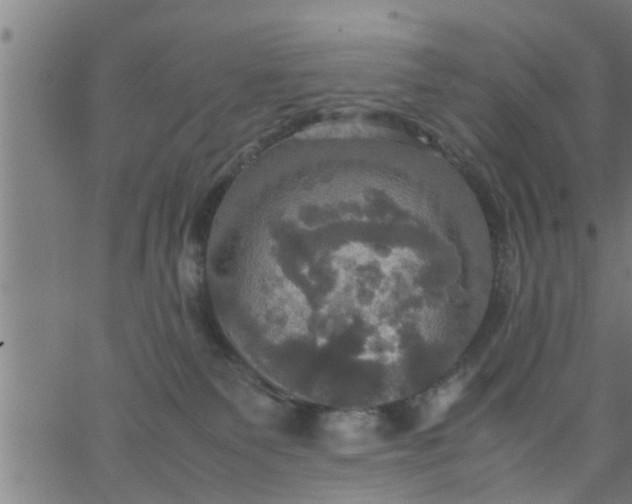 X0000066540135200603311854