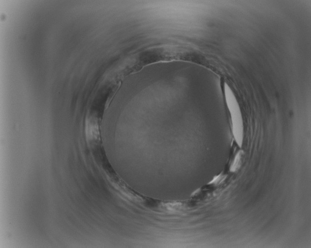 X0000066540137200603311854