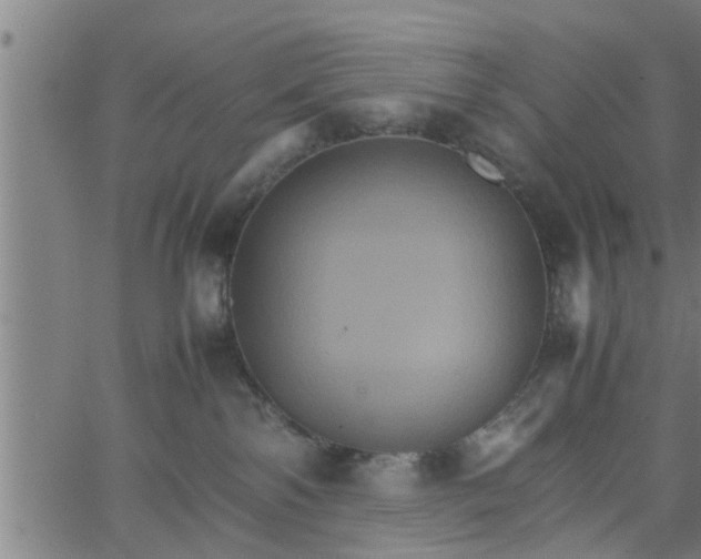 X0000066540138200603311854