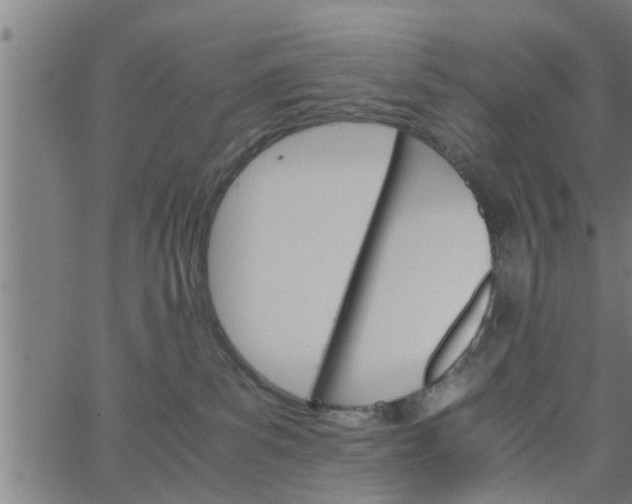 X0000066540139200603311854