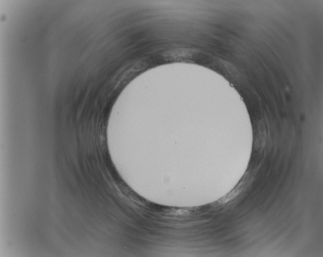 X0000066540140200603311854