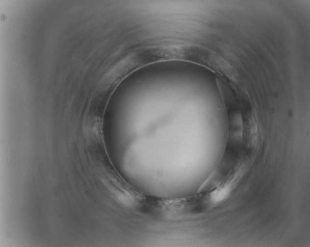 X0000066540141200603311854