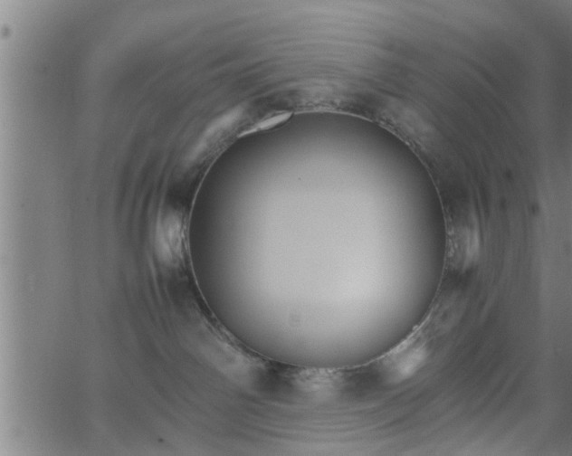 X0000066540142200603311854