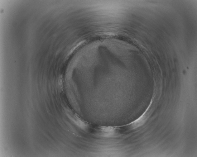 X0000066540144200603311854