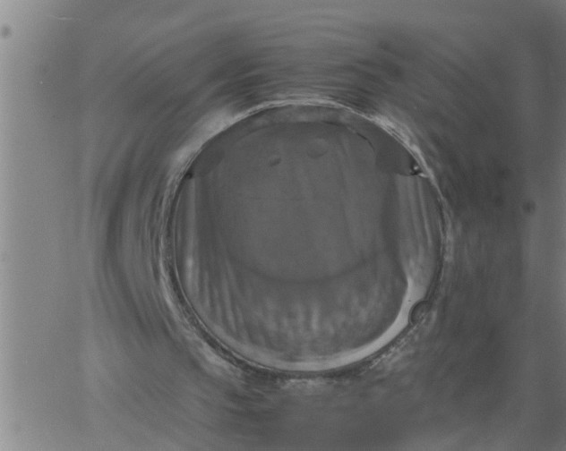 X0000066540145200603311853