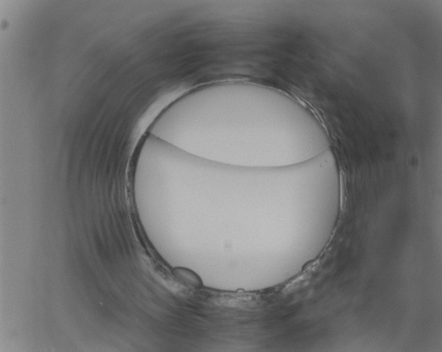 X0000066540147200603311853