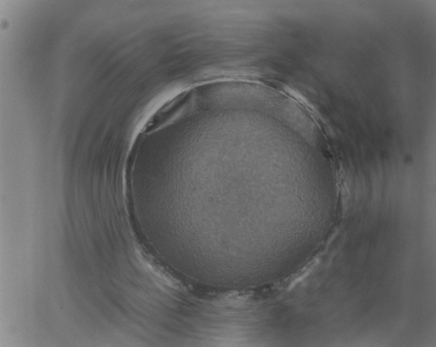 X0000066540148200603311853