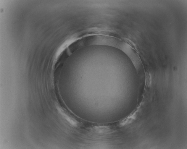 X0000066540150200603311853