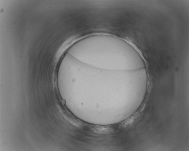 X0000066540151200603311853