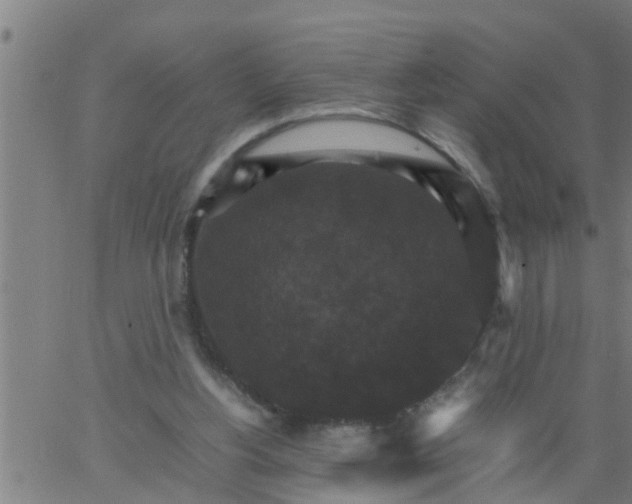 X0000066540156200603311853