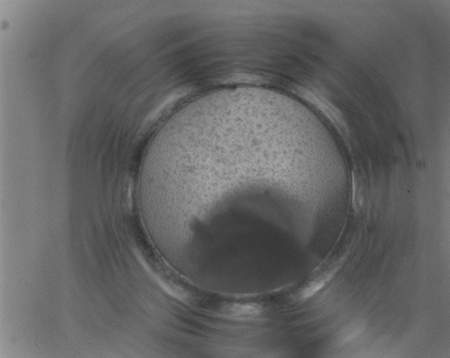 X0000066540157200603311854