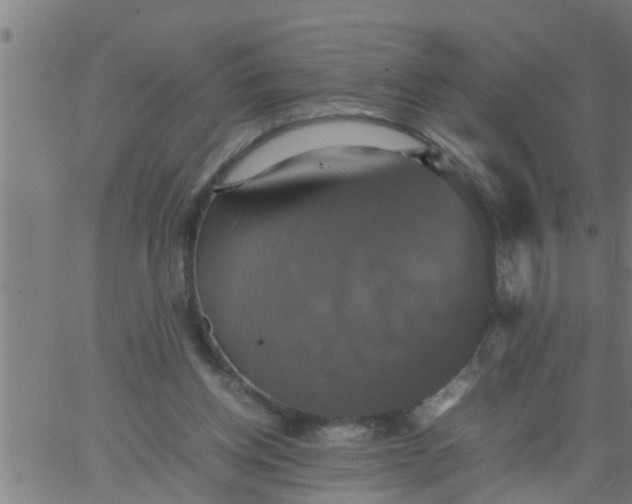 X0000066540158200603311854