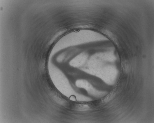 X0000066540159200603311854