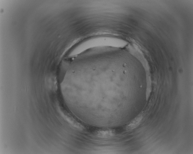 X0000066540160200603311854