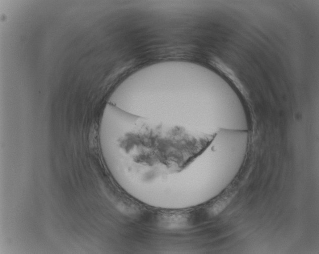 X0000066540161200603311854