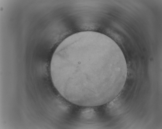 X0000066540162200603311854