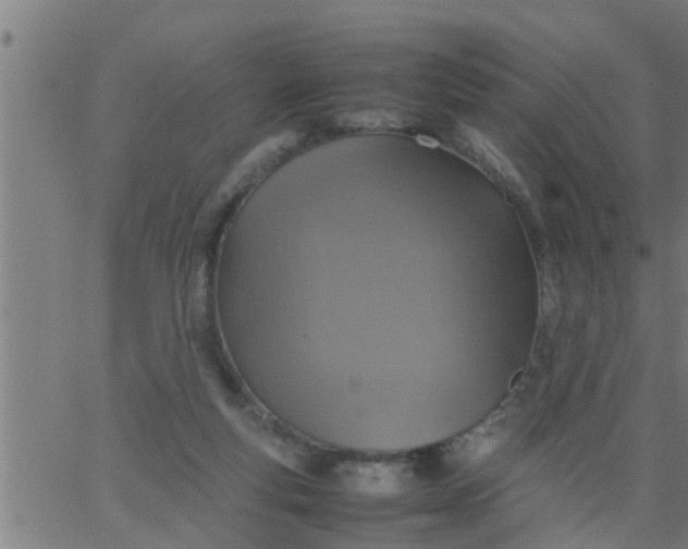 X0000066540163200603311854