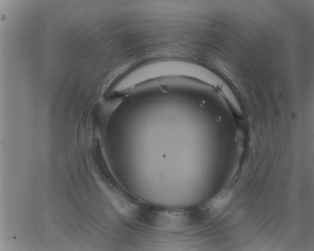 X0000066540164200603311854