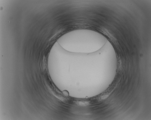 X0000066540165200603311854