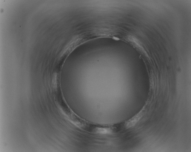 X0000066540167200603311854