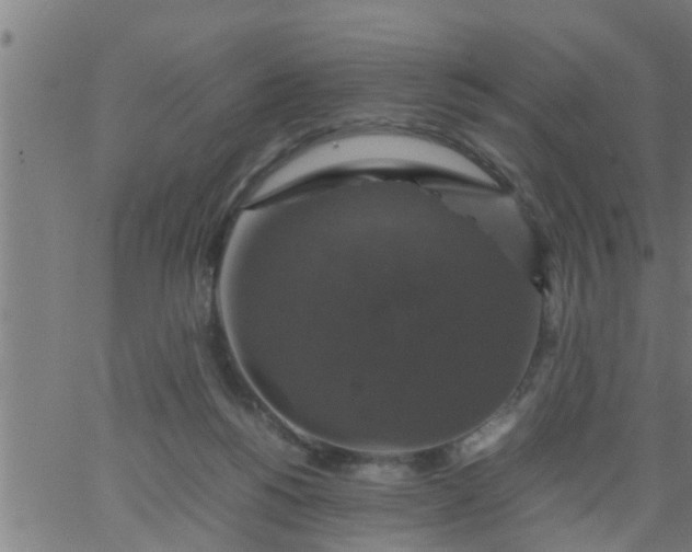 X0000066540168200603311854