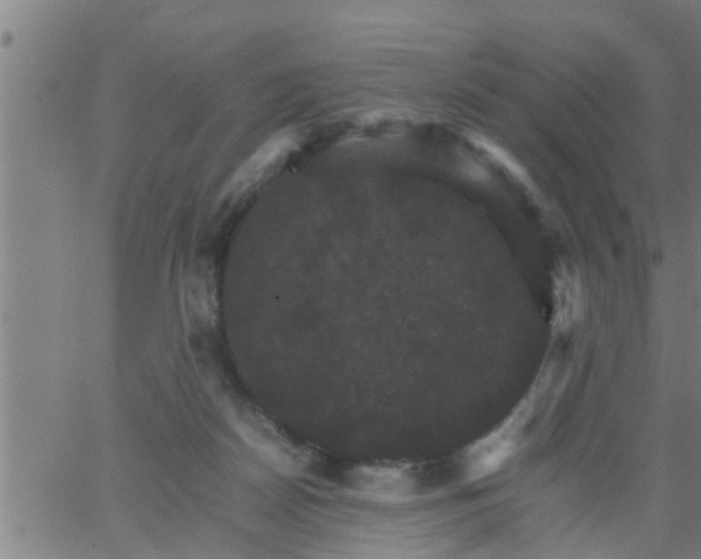 X0000066540170200603311854