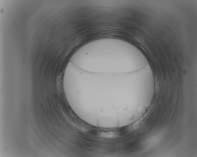 X0000066540171200603311854