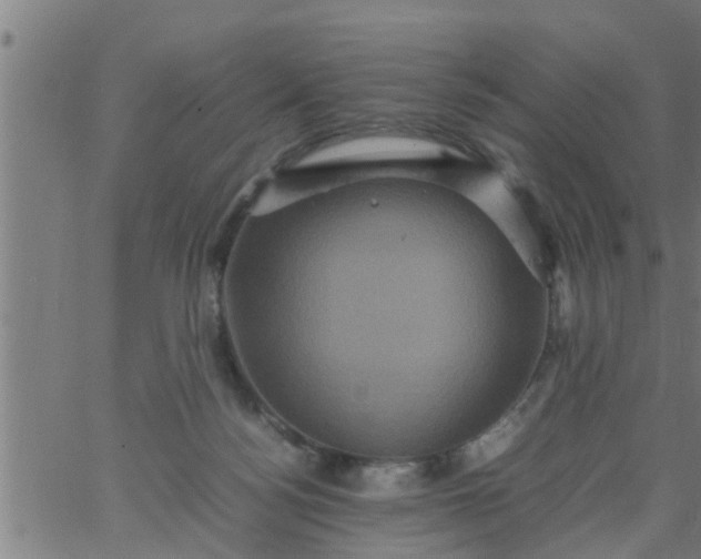 X0000066540172200603311854