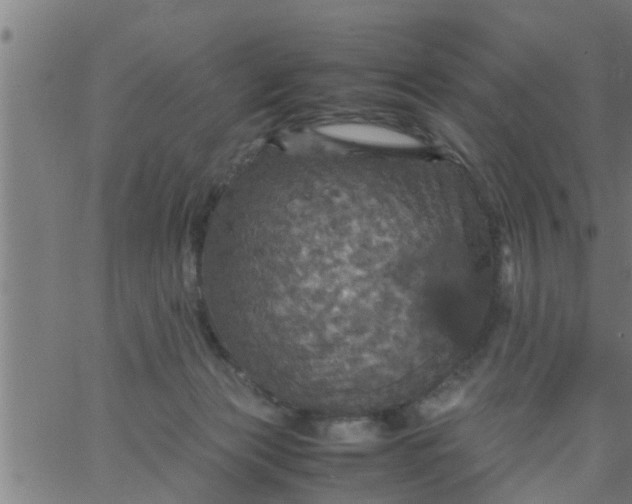 X0000066540173200603311854