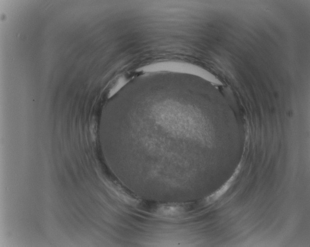 X0000066540174200603311854