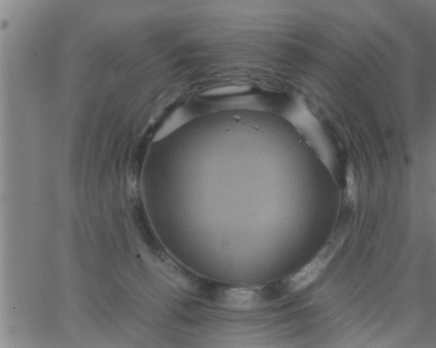 X0000066540176200603311854