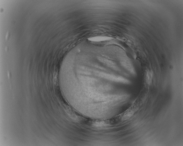 X0000066540177200603311854