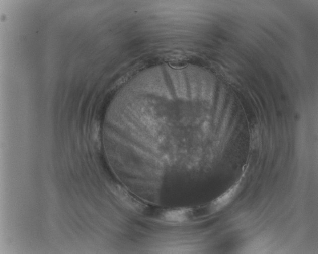 X0000066540178200603311854