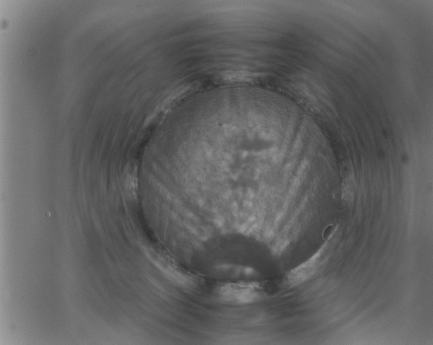 X0000066540179200603311854