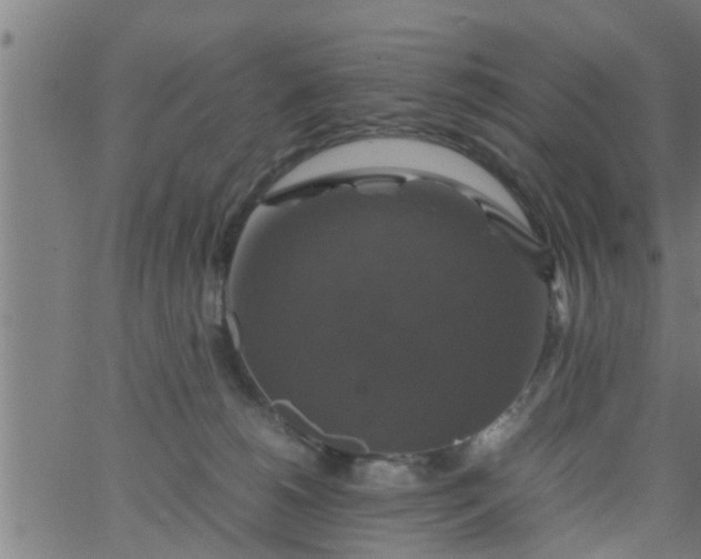 X0000066540180200603311854