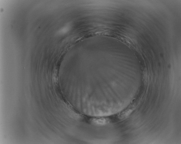 X0000066540181200603311854