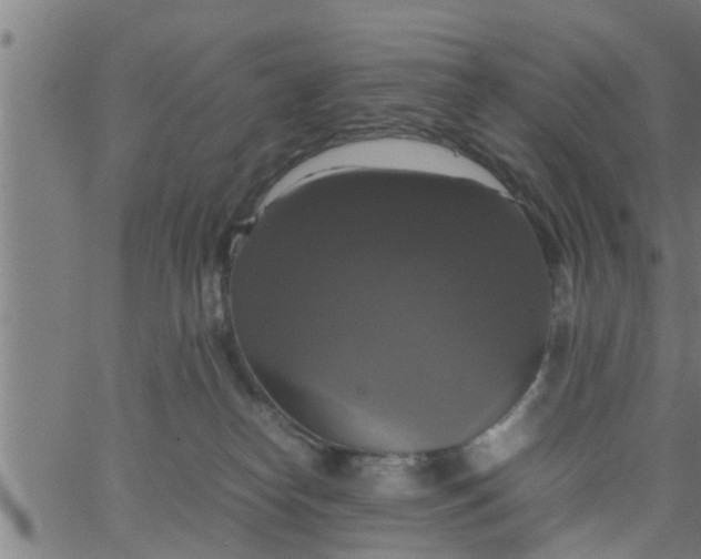 X0000066540182200603311854