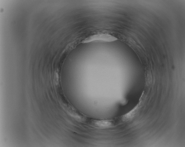 X0000066540183200603311854