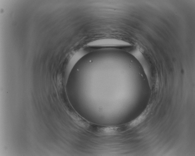 X0000066540184200603311854