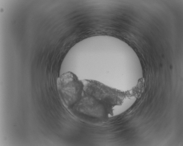 X0000066540185200603311854