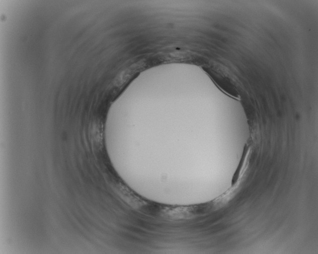 X0000066540186200603311854