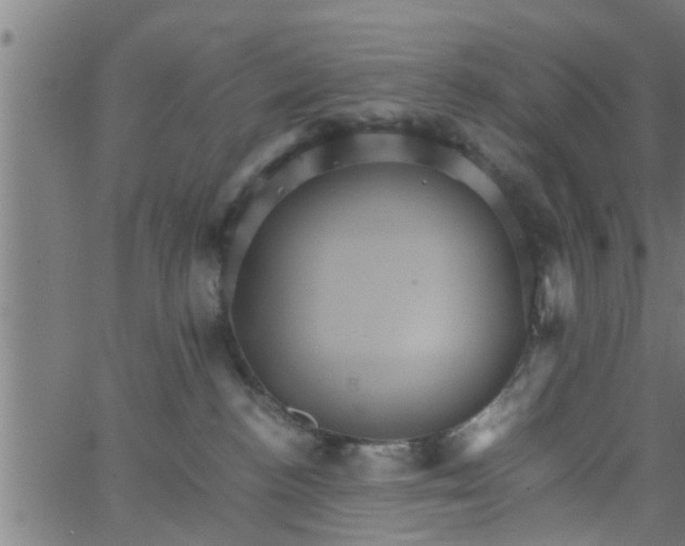 X0000066540188200603311854