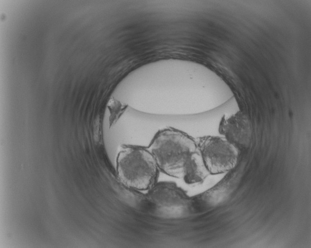 X0000066540189200603311854