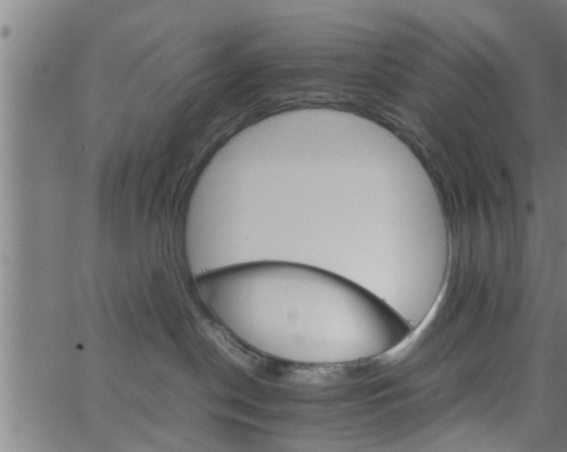 X0000066540190200603311854