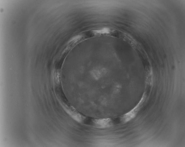 X0000066540191200603311854