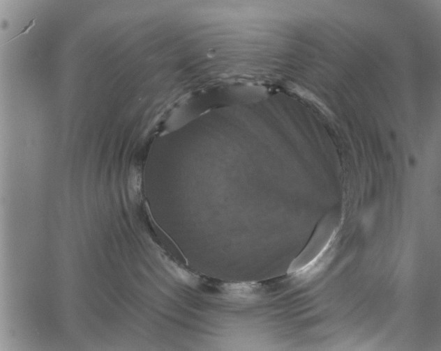 X0000066540192200603311854