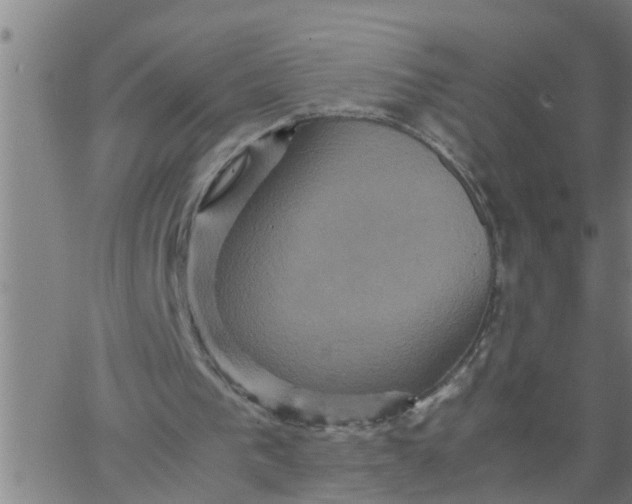 X0000066540193200603311853