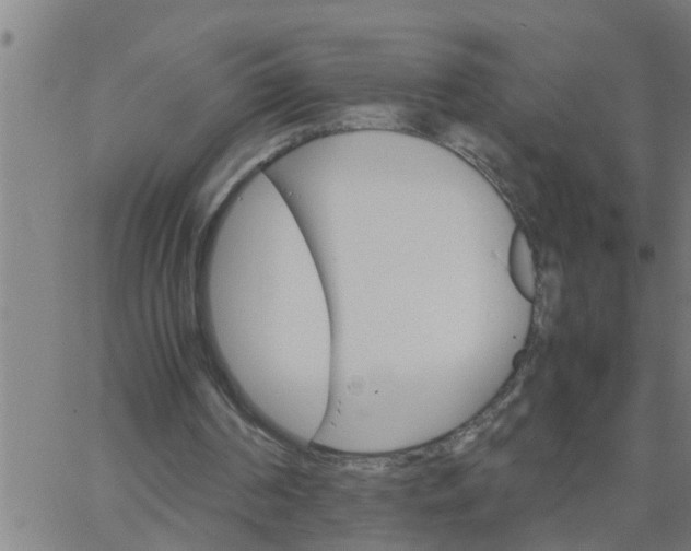 X0000066540194200603311853