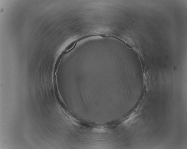 X0000066540196200603311853