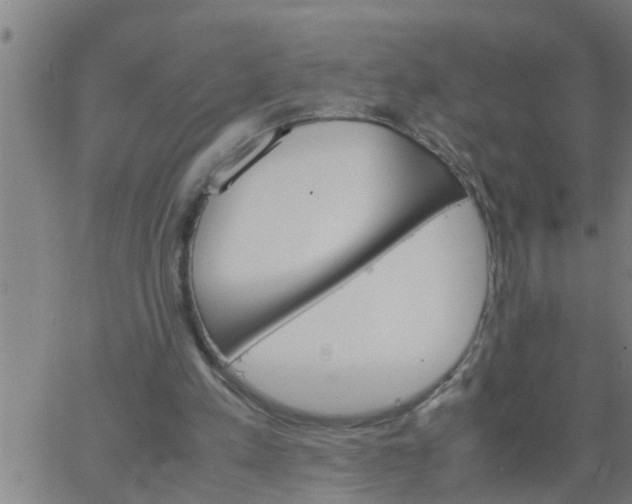 X0000066540197200603311853